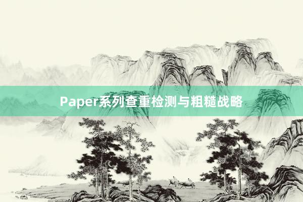 Paper系列查重检测与粗糙战略