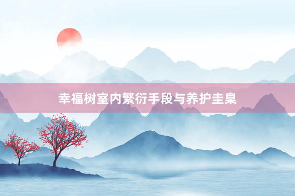 幸福树室内繁衍手段与养护圭臬